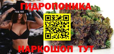 mix Новодвинск