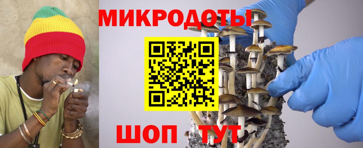 Таганрог  Псилоцибиновые грибы мухоморы  Псилоцибиновые грибы Psilocybine cubensis  Вход с VPN 