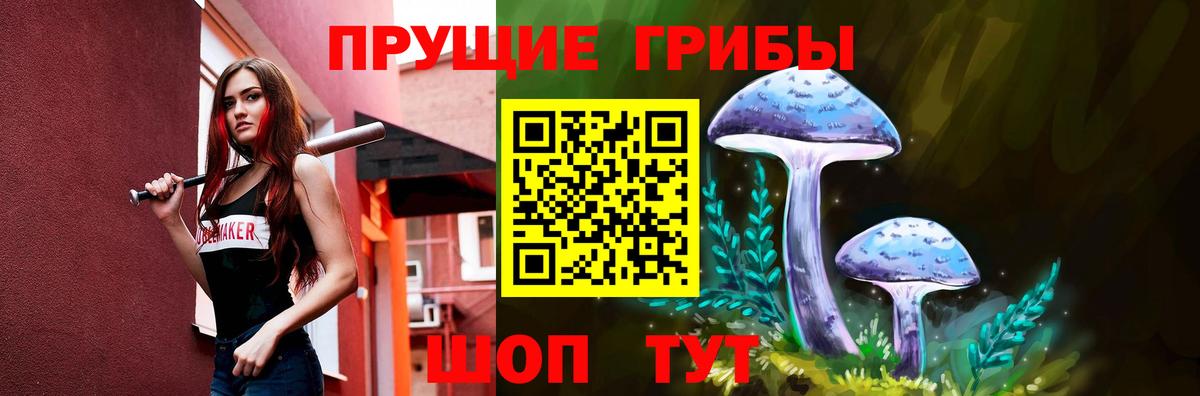 Псилоцибиновые грибы Cubensis Таганрог
