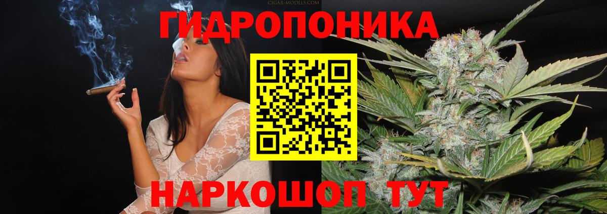 Канабис план Таганрог